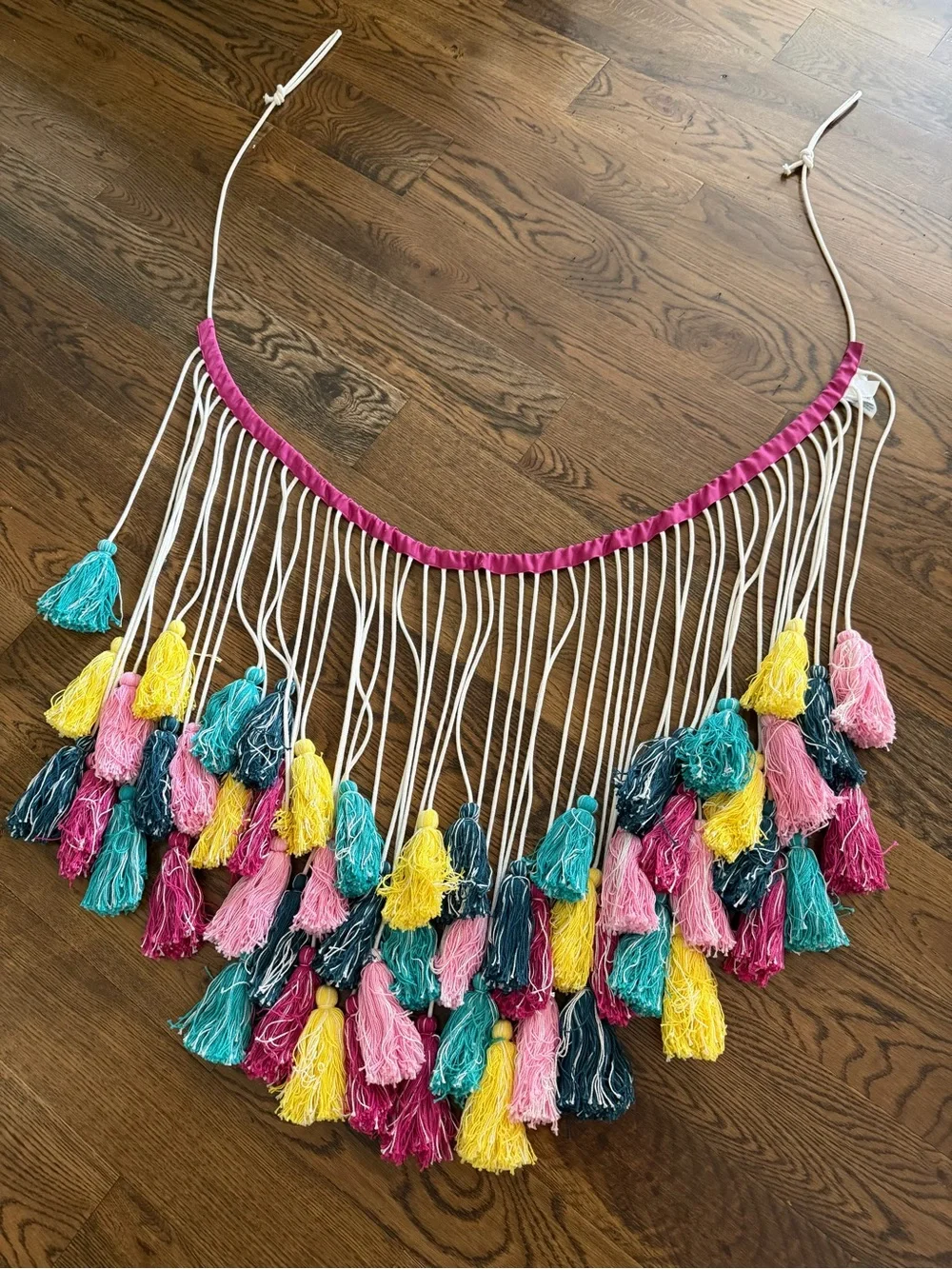 Pottery Barn Teen Multicolor Tassel Fringe Wall Garland